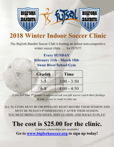 Winter Indoor Soccer Clinic